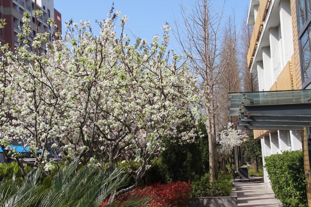 L'Otel Şanghay Dış mekan fotoğraf
